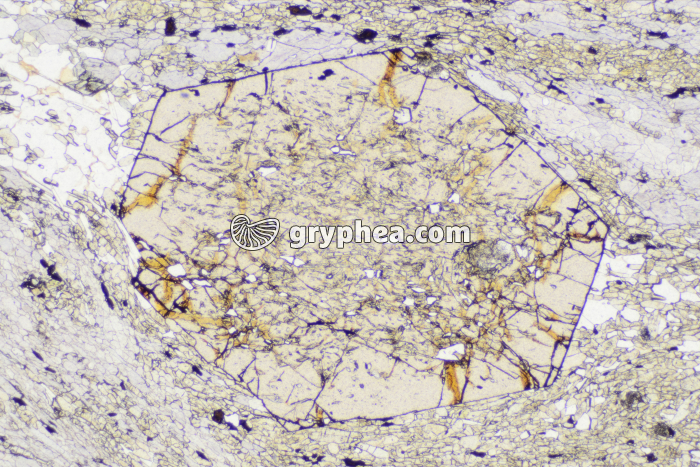 Grenat LPNA x10 - gryphea.org